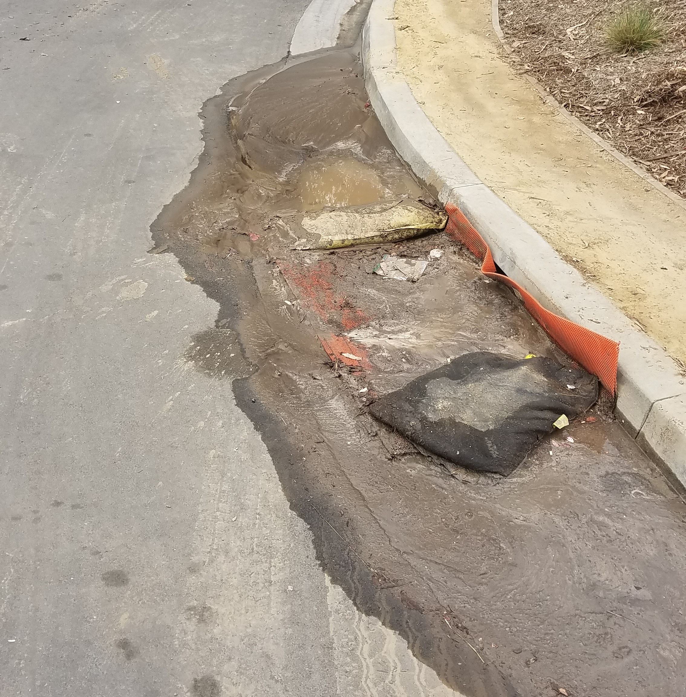 20180813_153600 (002)