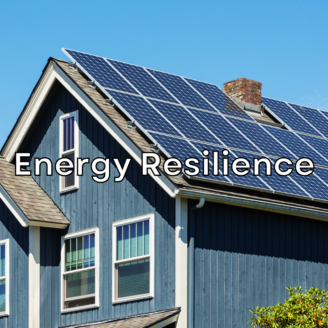 Energy Resilience