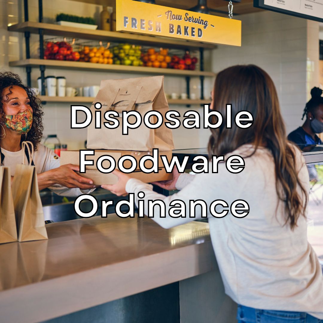Disposable Foodware Ordinance 