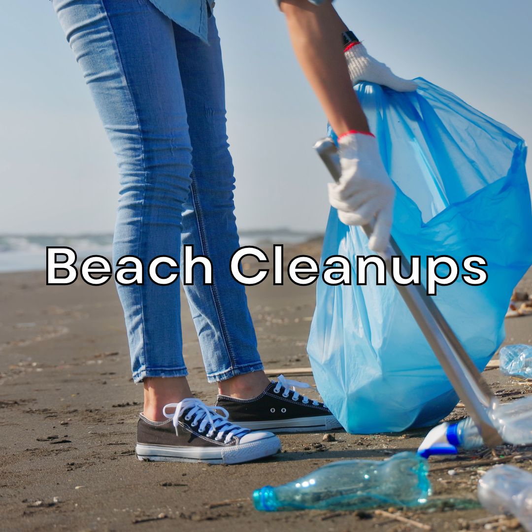 Beach Cleanups