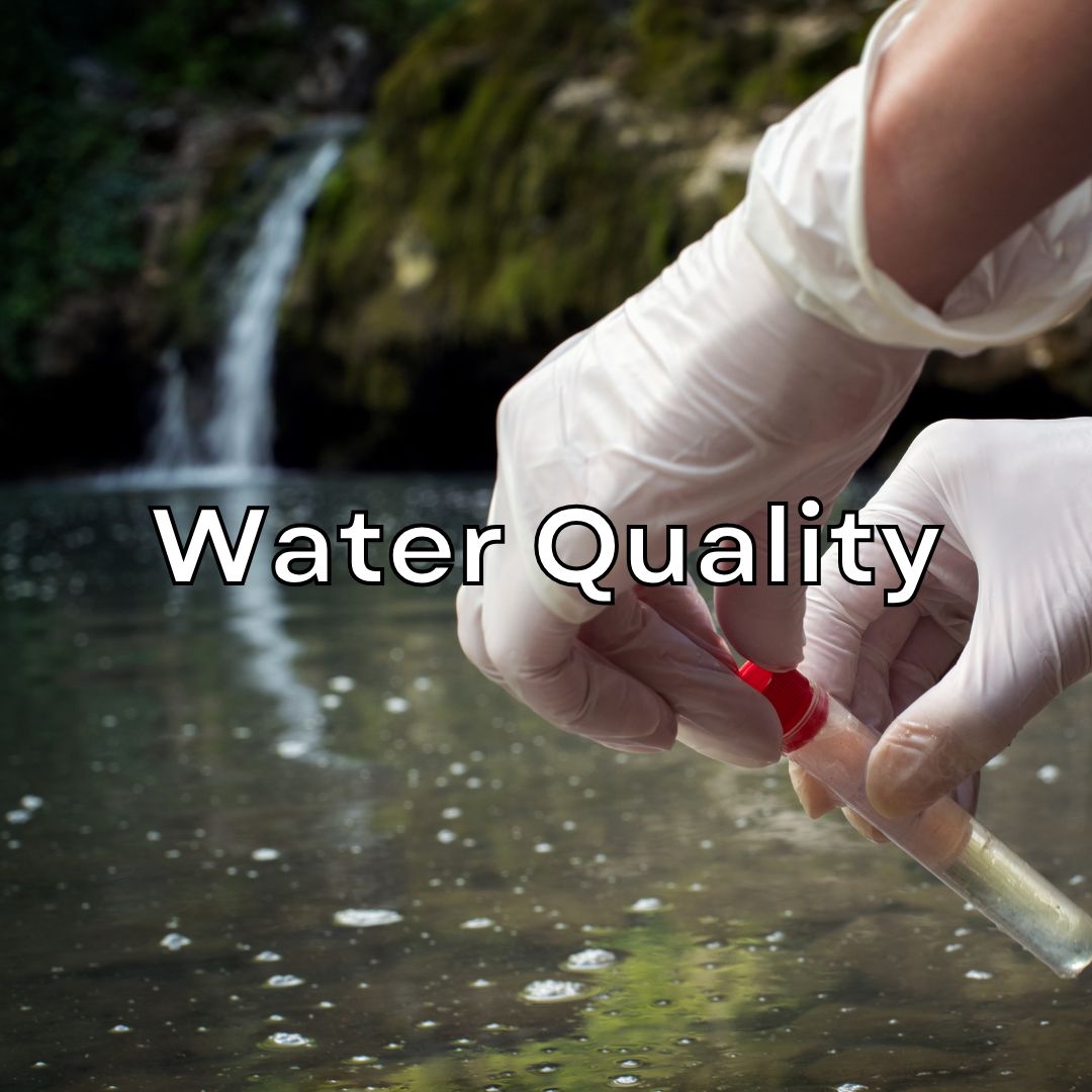 Water Quality