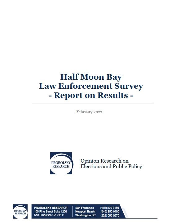 Public Safety Survey Cover Opens in new window